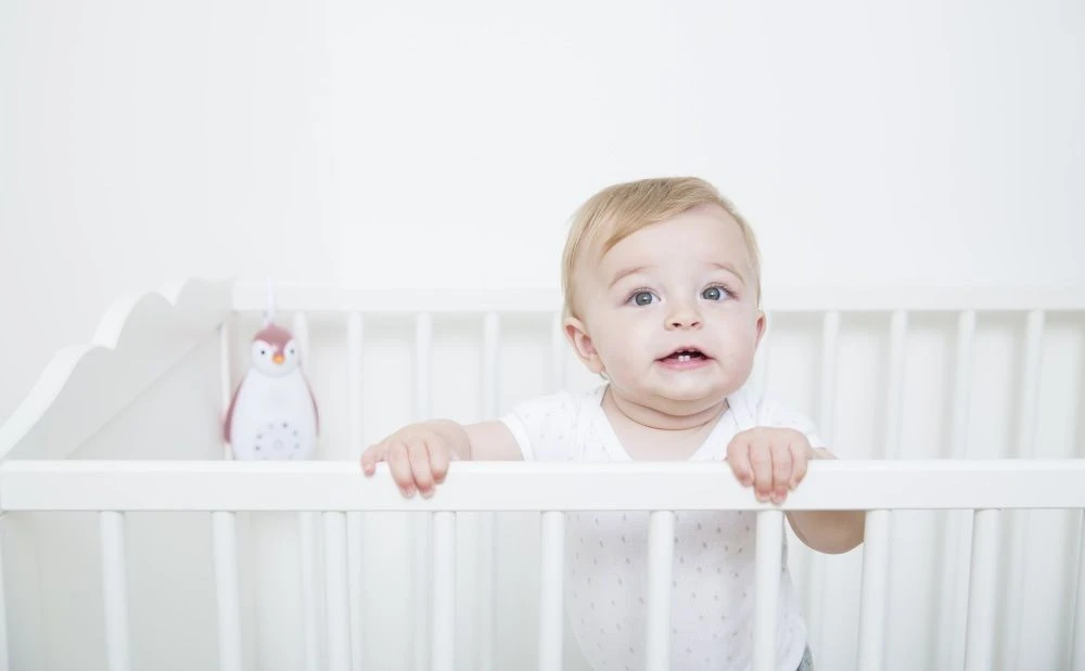 Zazu Zoe De Pinguin Grijs 3 In 1 Muziekdoosje ZA-ZOE-01 12 Zazu Zoe De Pinguin Grijs 3 In 1 Muziekdoosje ZA-ZOE-01 - Afbeelding 10