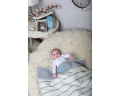 Zaffiro Grijs & Ecru Gestreept 75 X 100 Cm Wiegdeken 15083 -Bekend Babyartikelen Winkel 7406ec36001291ca5060b2ad 4