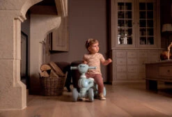 Bo Jungle B-Bike Jumpy Grijs Loopfiets B920030 -Bekend Babyartikelen Winkel Bo Jungle B Bike Jumpy Grijs Loopfiets B920030 2