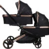 Ding Amigo Black/Rose Tweeling Kinderwagen Incl. 2 Autostoelen DI-191711 -Bekend Babyartikelen Winkel ding amigo black rose tweeling kinderwagen incl. 2 autostoelen di 191711 1920x1920