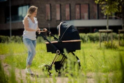 Ding Fenix Black/Rose Kinderwagen DI-191702 35 Ding Fenix Black/Rose Kinderwagen DI-191702 -Bekend Babyartikelen Winkel ding fenix rose kinderwagen