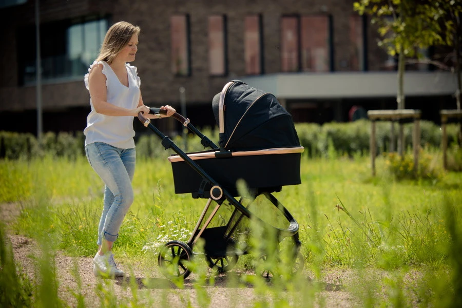 Ding Fenix Black/Rose Kinderwagen DI-191702 18 Ding Fenix Black/Rose Kinderwagen DI-191702 - Afbeelding 16