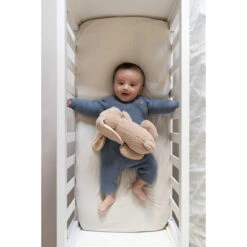 Doomoo Snoogy Biscuit Konijn Magnetronknuffel SY21 -Bekend Babyartikelen Winkel doomoo snoogy biscuit konijn magnetronknuffel sy21 7