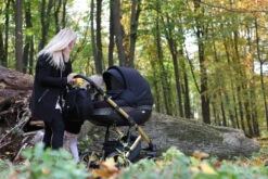 Baby Merc Faster 3 Black/Gold Limited Edition Kinderwagen Incl. Autostoel L143 -Bekend Babyartikelen Winkel faster gold 1