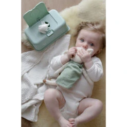 FunkyBox Mint Leave FB60 -Bekend Babyartikelen Winkel funkybox mint leave fb60 .sfeer3