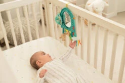 Infantino Elephant Autospiegel BK-316313 -Bekend Babyartikelen Winkel infantino elephant autospiegel bk 316313 2