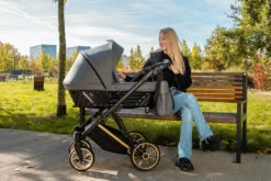 Kunert Ivento Premium Gold Deep Black 2-in-1 Kinderwagen IVE-12-GOLD -Bekend Babyartikelen Winkel kunert ivento premium gold caramel macchiato 2 in 1 kinderwagen ive 10 gold 7
