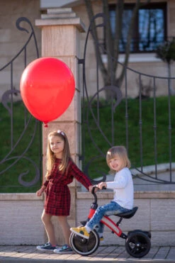 Lorelli Dallas Grey Driewieler 1005050-005 -Bekend Babyartikelen Winkel lorelli dallas driewieler 11 1