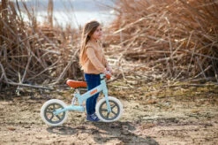 Lorelli Wind Pink Loopfiets 1041006-0005 -Bekend Babyartikelen Winkel lorelli wind loopfiets 1041006 16 1