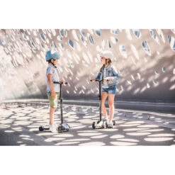 Scoot And Ride Ash Highwaykick 5 Step SR-96440 -Bekend Babyartikelen Winkel scoot and ride ash highwaykick 5 step sr 96440 sfeer