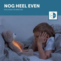 Zazu Brody De Beer Taupe Slaaptrainer ZA-BRODY-01 -Bekend Babyartikelen Winkel zazu brody de beer taupe slaaptrainer sfeer 7